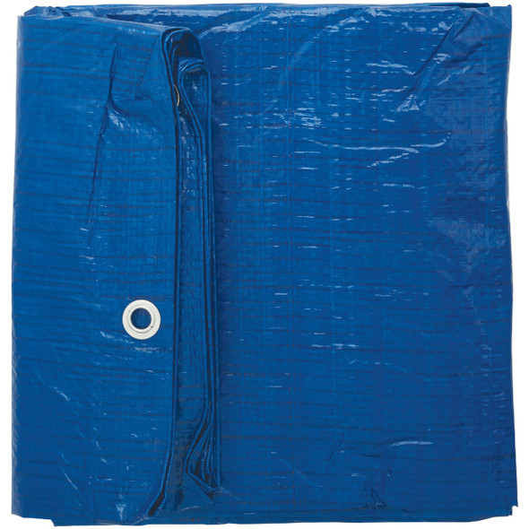 Do it Best Blue Woven 10 Ft. x 12 Ft. General Purpose Tarp 725317 725317