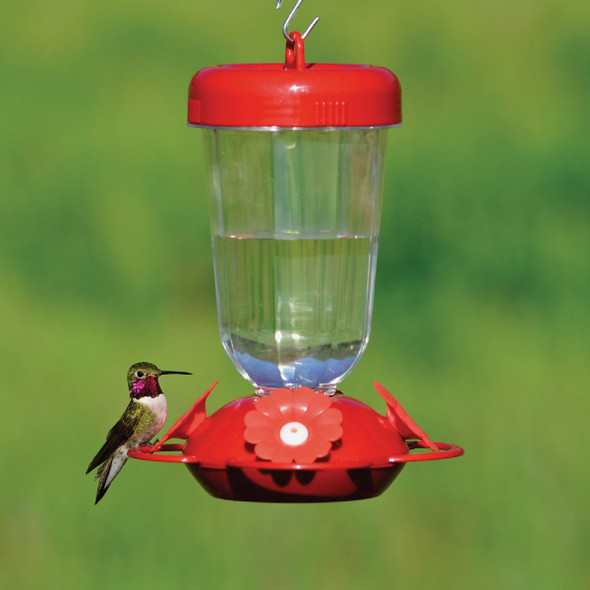 More Birds 30 Oz. Glass Deluxe Hummingbird Feeder