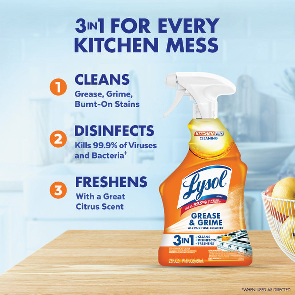 Lysol 22 Oz. Pro Antibacterial Liquid Citrus Kitchen Cleaner 1920079556 646849
