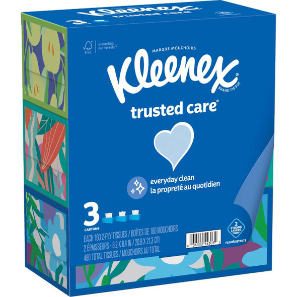 Kleenex Trusted Care 160 Count 2-Ply White Facial Tissue (3-Pack) Pack of 12