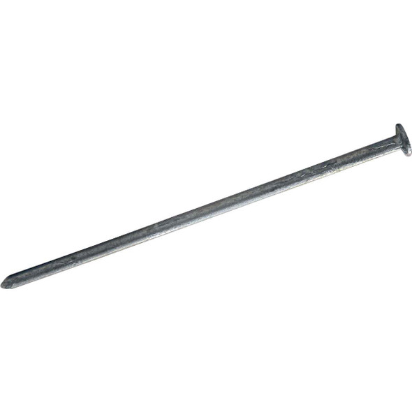 Maze 2-1/2 In. 13 ga Hot Dipped Galvanized Wood Siding Nails (590-Count, 5 Lb.)