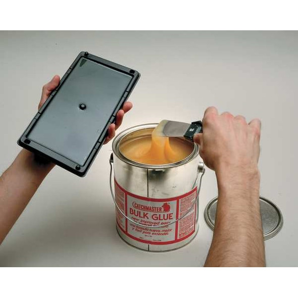 Catchmaster 1 gal Bulk Rodent and Insect Trap Glue, Clear/Yellow BG-1