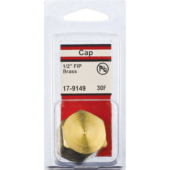 Lasco 1/2 In. Red Brass Threaded Pipe Cap Lasco 1/2 In. Red Brass Threaded Pipe Cap