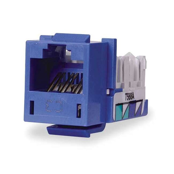 Hubbell Premise Wiring Modular Jack,0.875 in H,Blue HXJ6B