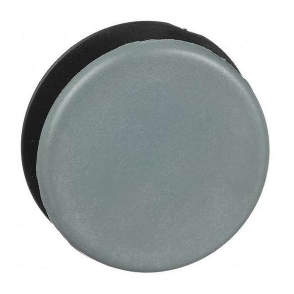 Schneider Electric Blanking Plug, 30 mm, Metal, Gray 9001K51