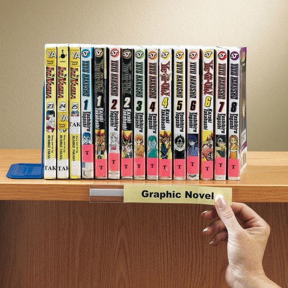 Aigner Index Label Holder, Tubular, 3/4x6In, PK12 R31