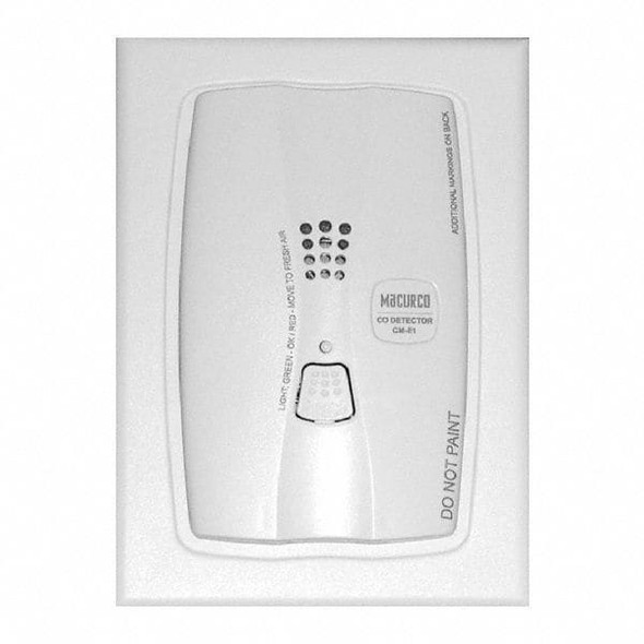 Gas Detector, Carbon Monoxide, Audible and Visual Alarm, 9-32V DC, Residential/Light Commercial