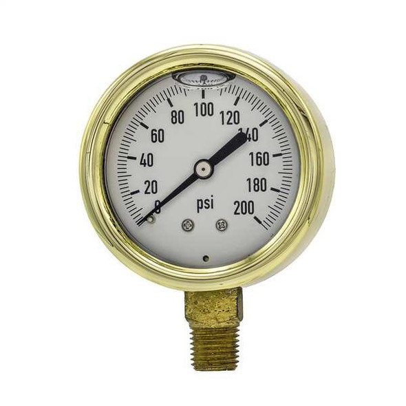 Pic Gauges Pressure Gauge,1/4 in. NPT,2-1/2 in. 601L-254G