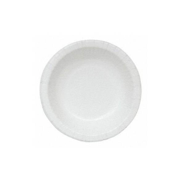 Manufacturer Varies Disposable Paper Plate,10 in,White,PK250 22381 Manufacturer Varies Disposable Paper Plate,10 in,White,PK250 22381