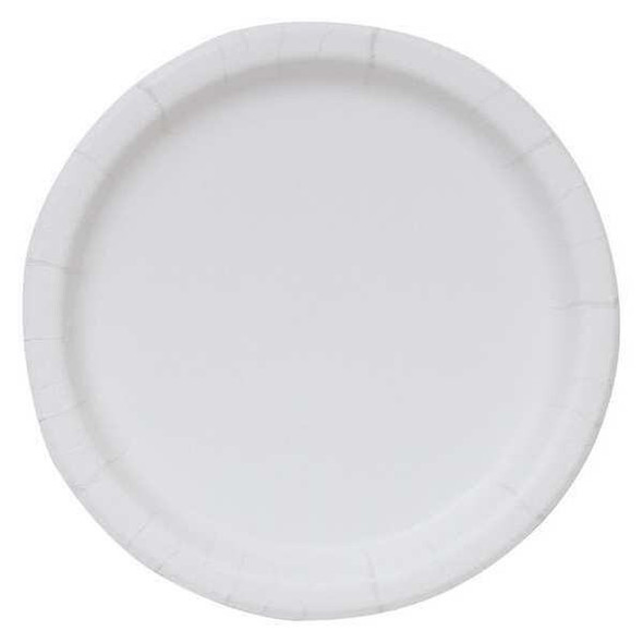 Manufacturer Varies Disposable Paper Plate,8 1/2 in,WH,PK250 20825 Manufacturer Varies Disposable Paper Plate,8 1/2 in,WH,PK250 20825