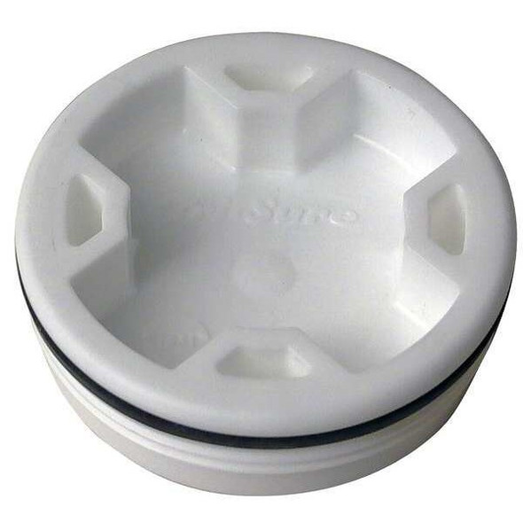 Manufacturer Varies Drum Plug,2 In.,Poly,Buna Gasket,PK10 GTP20P