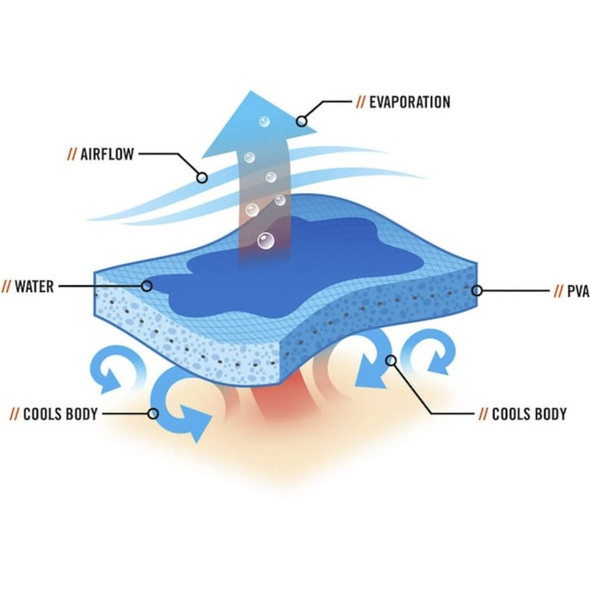 Ergodyne Bandana, Black-White, Skulls, Hook-and-Loop 6705CT