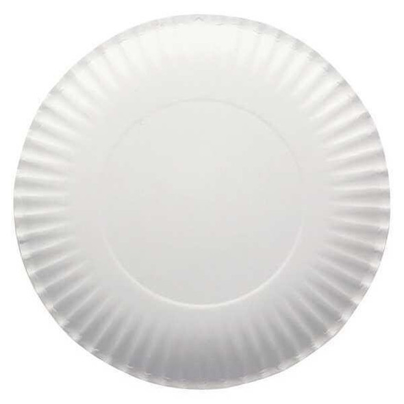 Manufacturer Varies Disposable Paper Plate,9 in,White,PK1000 13109