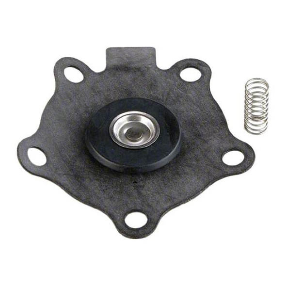 Asco Solenoid Valve Rebuild Kit,For 5LU47 96875