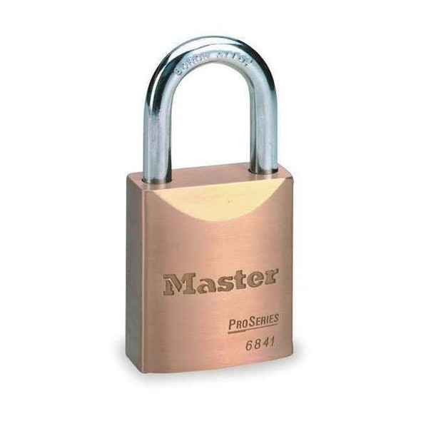 Master Lock 6841WO