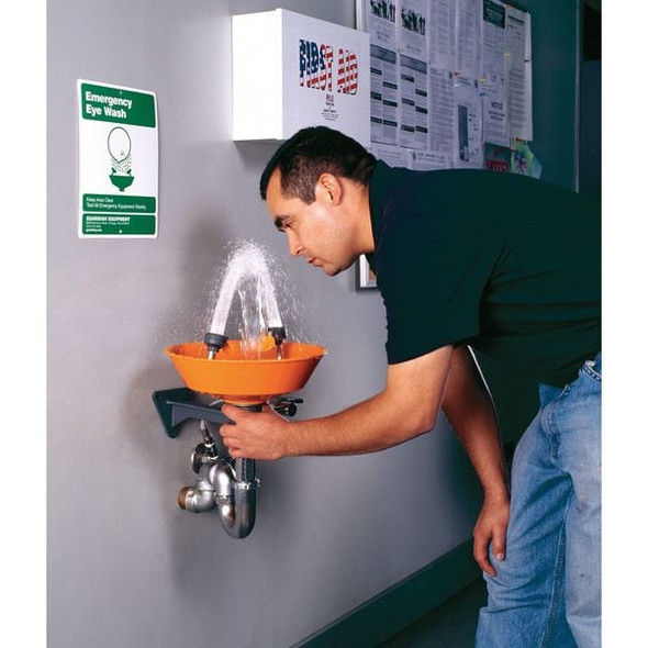 Guardian Equipment Eyewash Station,Wall Mnt,Plastic,15-5/8W G1814P