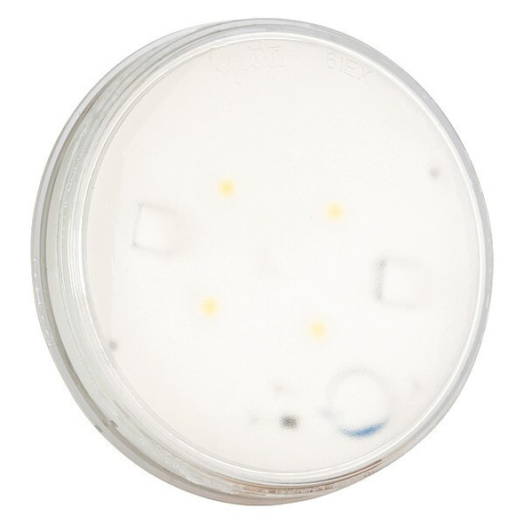 Grote Rubber Utility Dome Lamp,LED,12V, 61E41