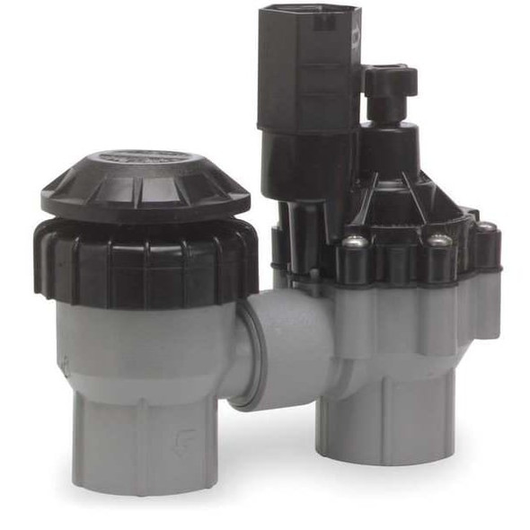Rain Bird Valve,Antisiphon,3/4in DASASVF075