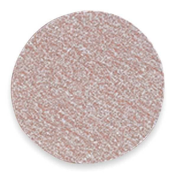 Norton Abrasives Hook-and-Loop Sand Disc,6 in Dia,PK100 66261131566