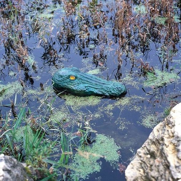 Bird-X Visual Bird Repellers, Gator Guard GG