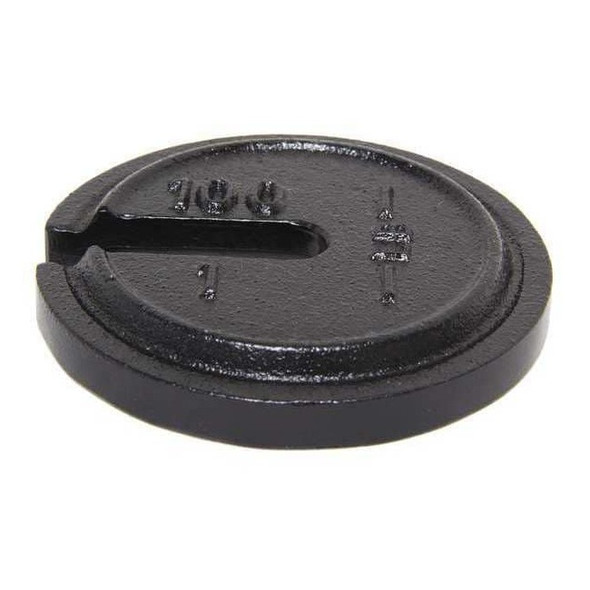 Rice Lake Weighing Systems Calibration Weight,100 x 1 lb.,Painted 10156