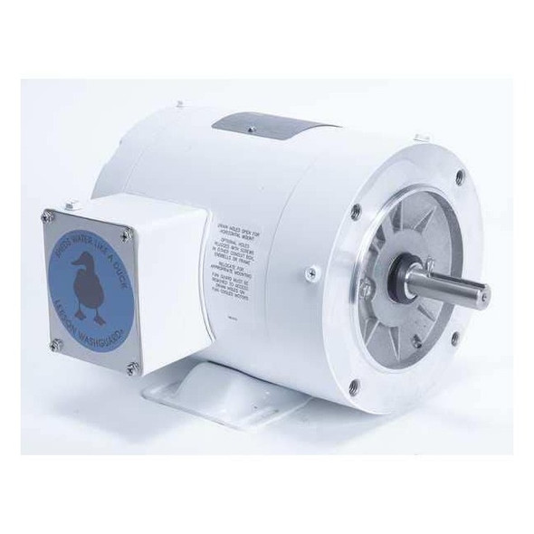Leeson Washdown Motor,1/2HP,3-Phase Design,60Hz 113586.00