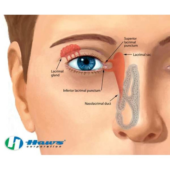 Plumbed Eyewash, Wall Mount, Plumbed, 14 1-12 in H., 14 3-4 in W  7360BT-7460BT