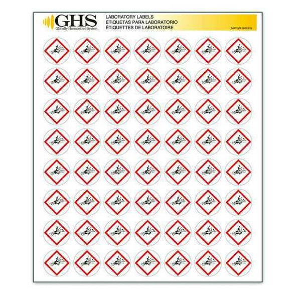 Ghs Safety GHS Label, 1 in H, 1 in W, Paper, PK1120 GHS1210