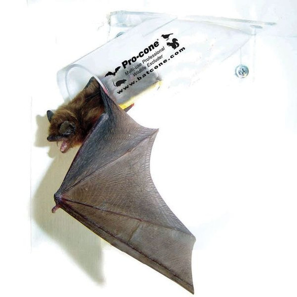 Bird Barrier Bat Removal Cone,Animal Control,6in. N8-PC30