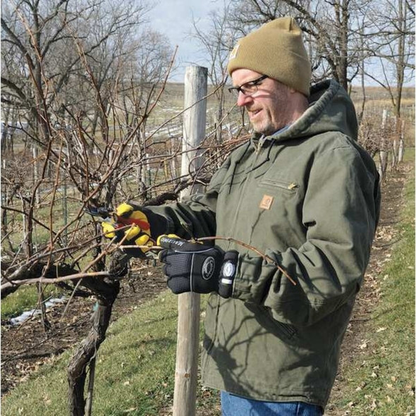 Cold Protection Gloves, Pigskin Leather Palm, Heatrac Lining, Gold, L ( 9 )  2960-5