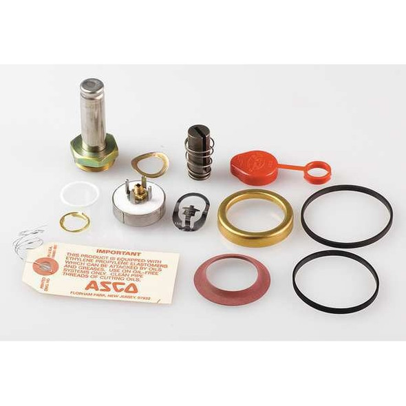 Asco Valve Rebuild Kit,With Instructions 312702