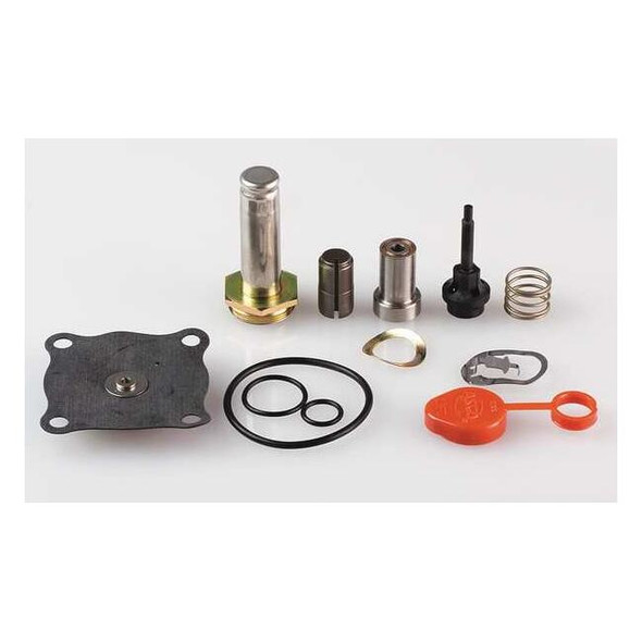 Asco Valve Rebuild Kit,With Instructions 302334