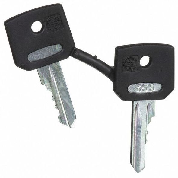 Schneider Electric Selector Switch Key, 455 KeyCode, Silver ZBG455