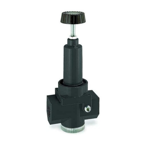 Wilkerson Air Regulator,1 In. NPT,500 cfm,300 psi R30-08-000
