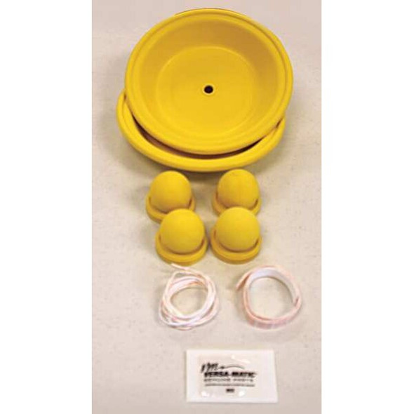 Versa-Matic Wet End Repair Kit,Santoprene,For 4GGG5 DRV1.25 XL KIT