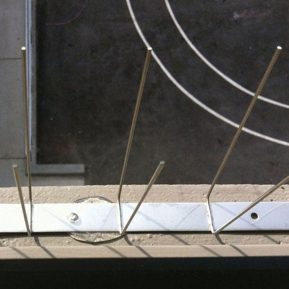 Bird Barrier Bird Repellent Spikes,Bird-Flite,50 ft. BP-F150