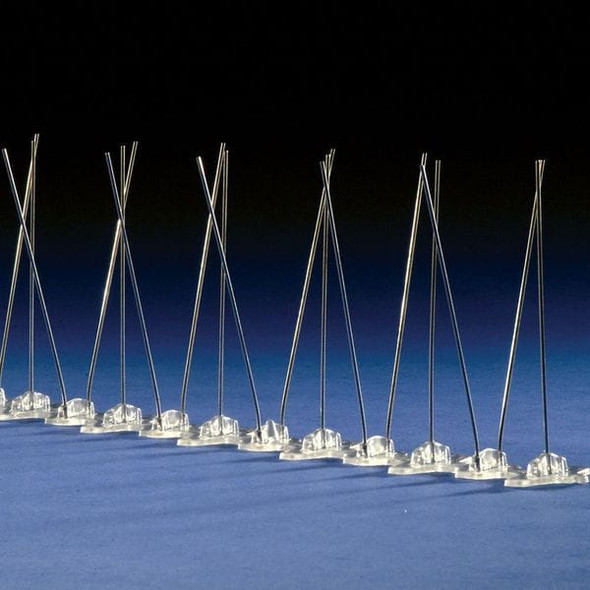 Bird Barrier Bird Repellent Spikes,10 ft L,2 1/2 in W BP-F110