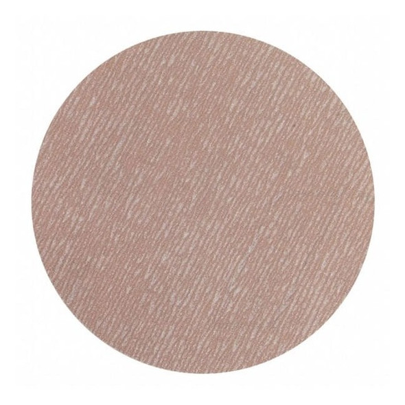 Norton Abrasives Hook-and-Loop Sanding Disc,5 in Dia 66261131534