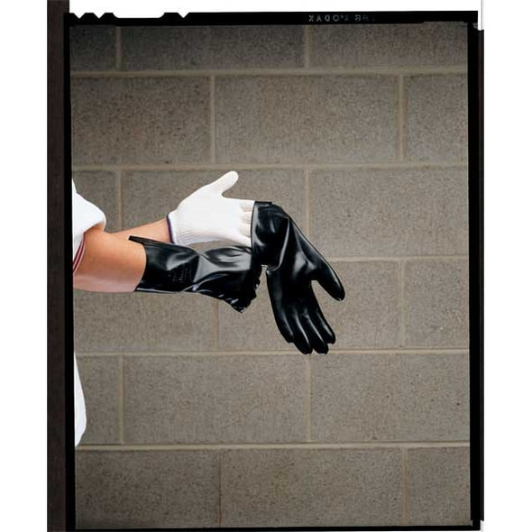 Glove Liners, Polyester, 8-3/4" Length, Light, White, Size Regular ,10 PK