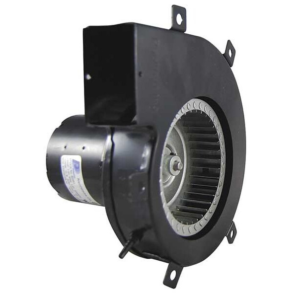 Packard Induced Draft Furnace Blower,115 Volt 82483