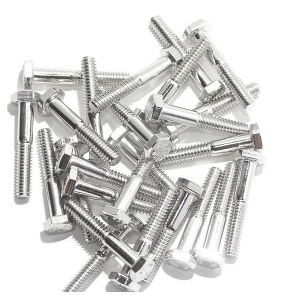 Foreverbolt 316, 1/4"-20 Hex Head Cap Screw, NL-19 Stainless Steel, 2 in L, 10 PK FB3HEXB14202P10