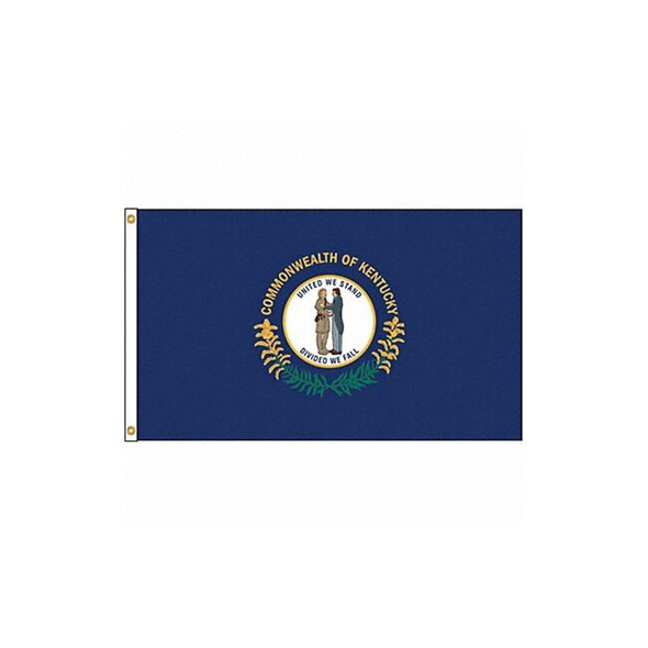 Annin Flagmakers Kentucky Flag,5x8 Ft,Nylon 141980