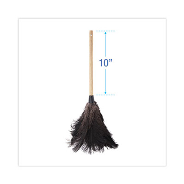 DUSTER,OSTRCH,FTHR,10",BK