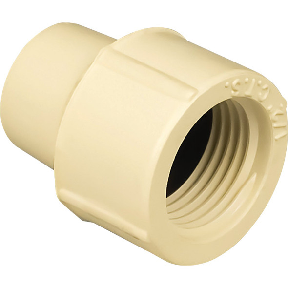 Charlotte Pipe 1/2 In. FIP CPVC Threaded PVC Adapter CTS 02102  0600HA