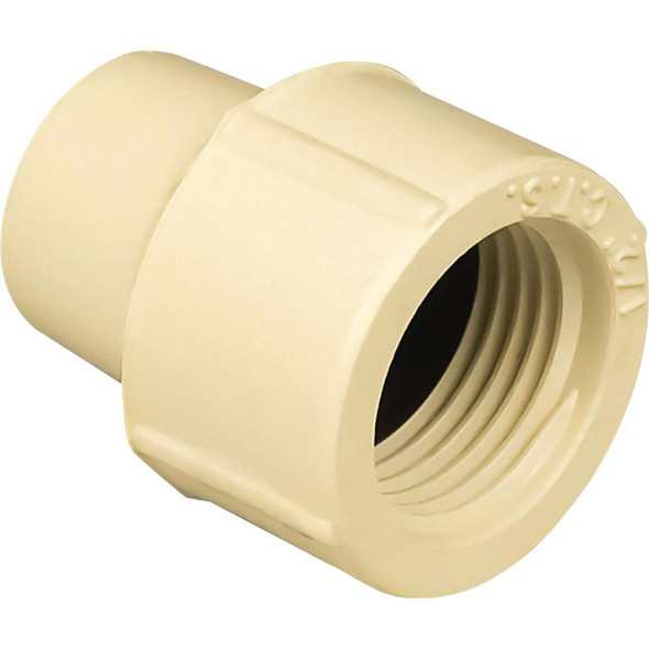 Charlotte Pipe 1/2 In. FIP CPVC Threaded PVC Adapter CTS 02102  0600HA