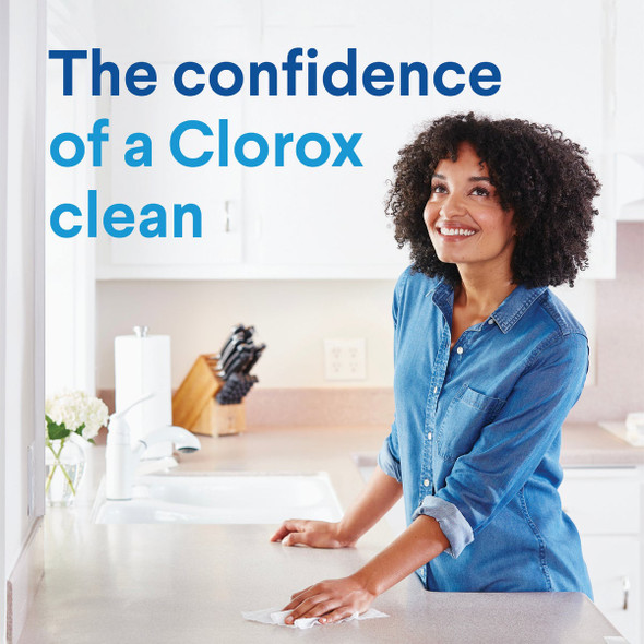 Clorox 24 Oz. Disinfecting Bleach 32251 Pack of 12 637213
