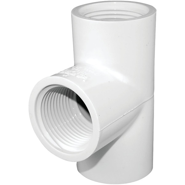 Charlotte Pipe 3/4 In. FIP Schedule 40 PVC Tee PVC 02402  0800HA