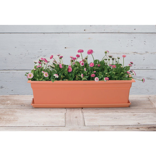 Novelty Countryside 24 In. Terra Plastic Flower Box Tray