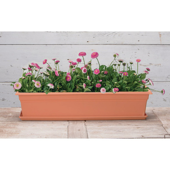Novelty Countryside 30 In. Terra Plastic Flower Box Tray