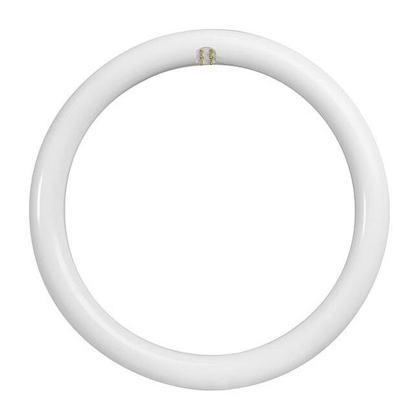 Feit Electric LED Circular Bulb,2000 lm,20W,12" dia. FC12/840/LED